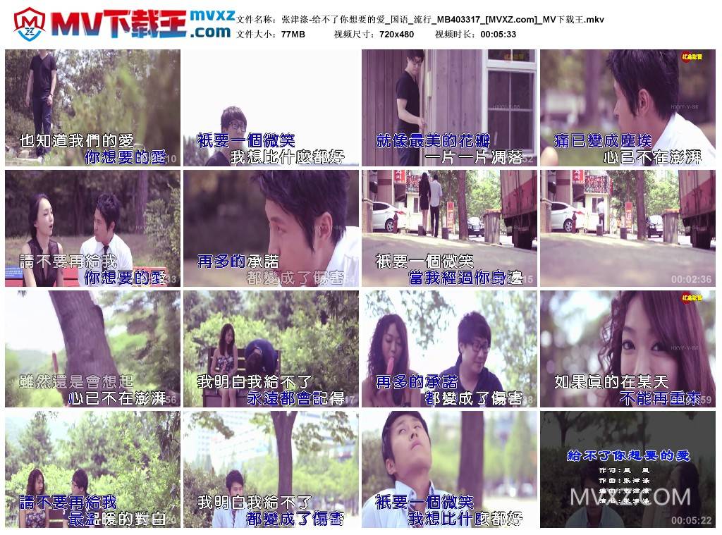 张津涤-给不了你想要的爱_国语_流行_MB403317